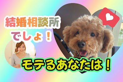 モテる人も結婚相談所に来られます。