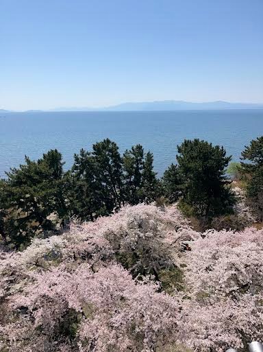 未来を感じる一日