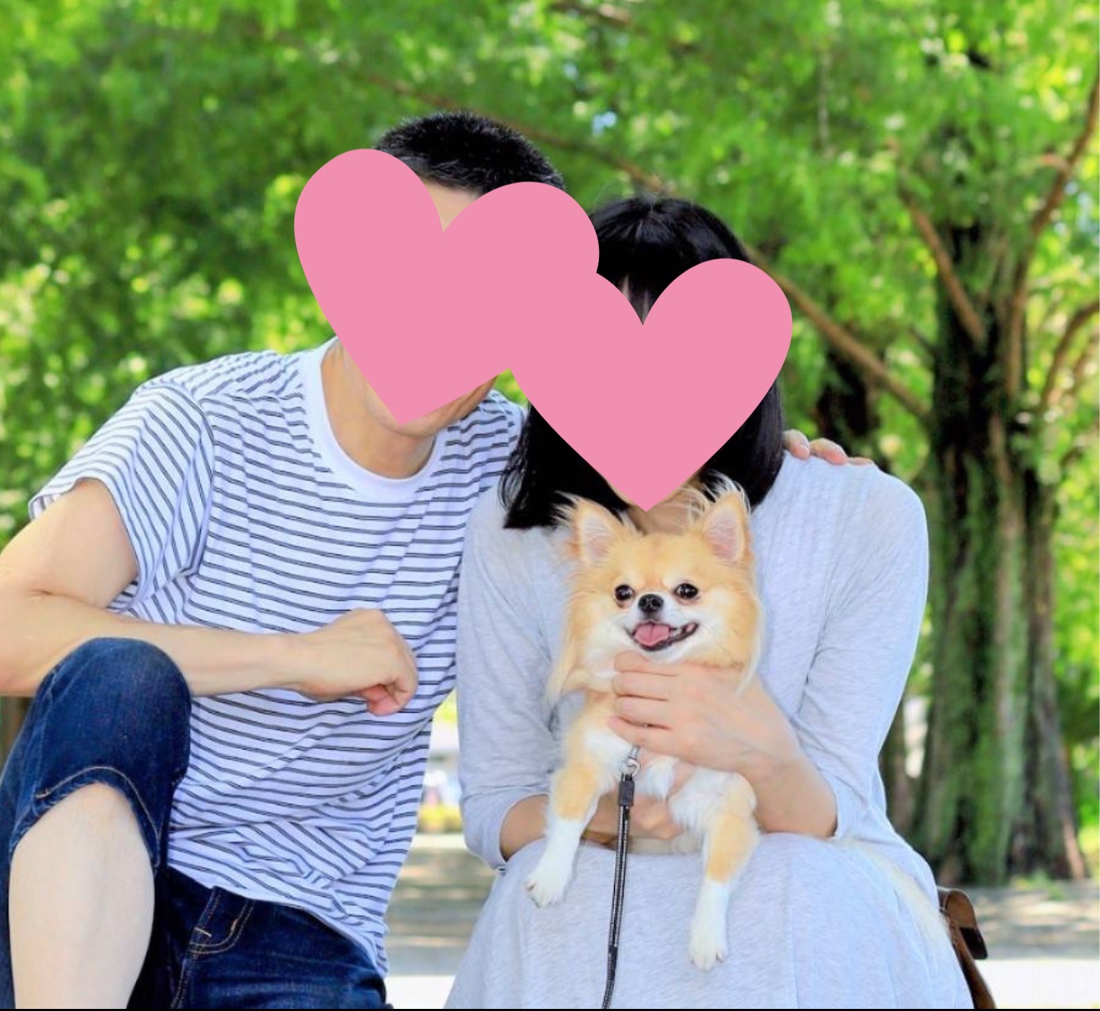 愛犬と一緒のお散歩デート