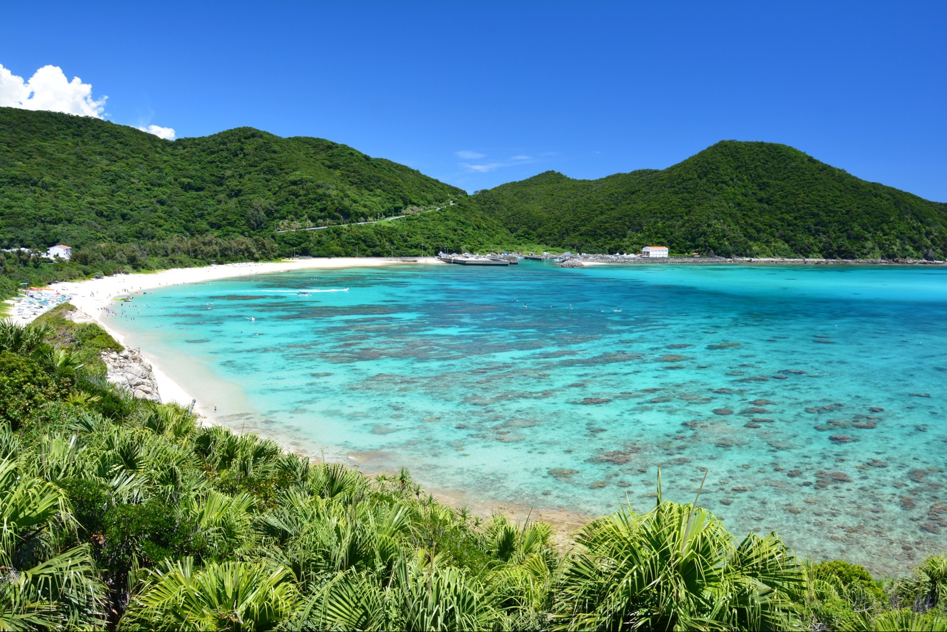 「30代はまだ余裕？その油断が婚活の出遅れにつながります。」