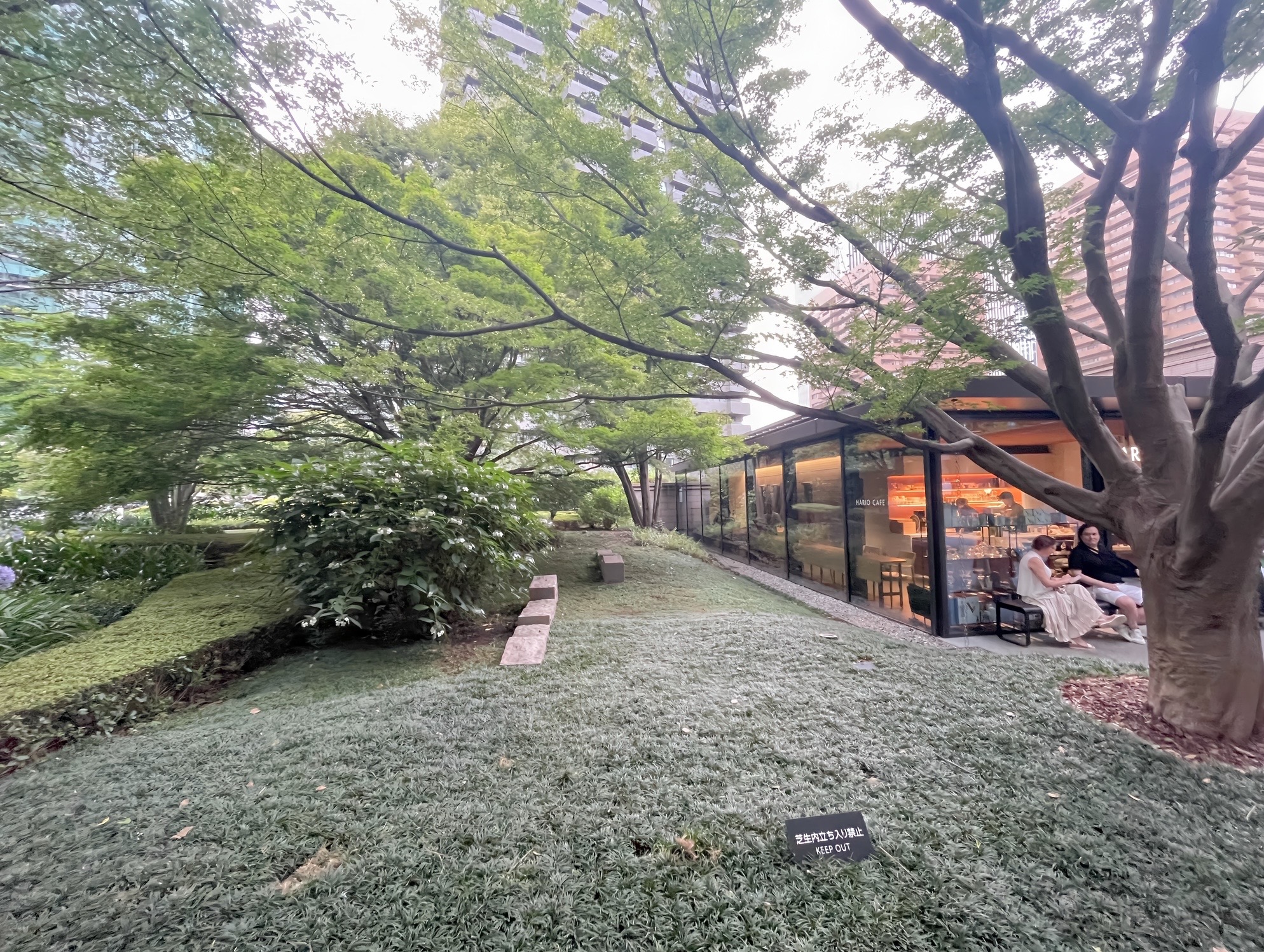 「出会いがない」は言い訳ではありません。今週末も大学教授、ヴァイオリニスト、医師、経営者など素敵な方々がご入会されました。
