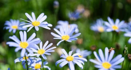 【本来無一物】（ほんらいむいちもつ）って言葉、ご存知ですか？
