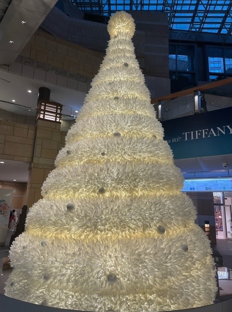 🎄街の光とクリスマスツリーが彩る11月、M’sブライダルジャパンインターナショナルのご案内✨