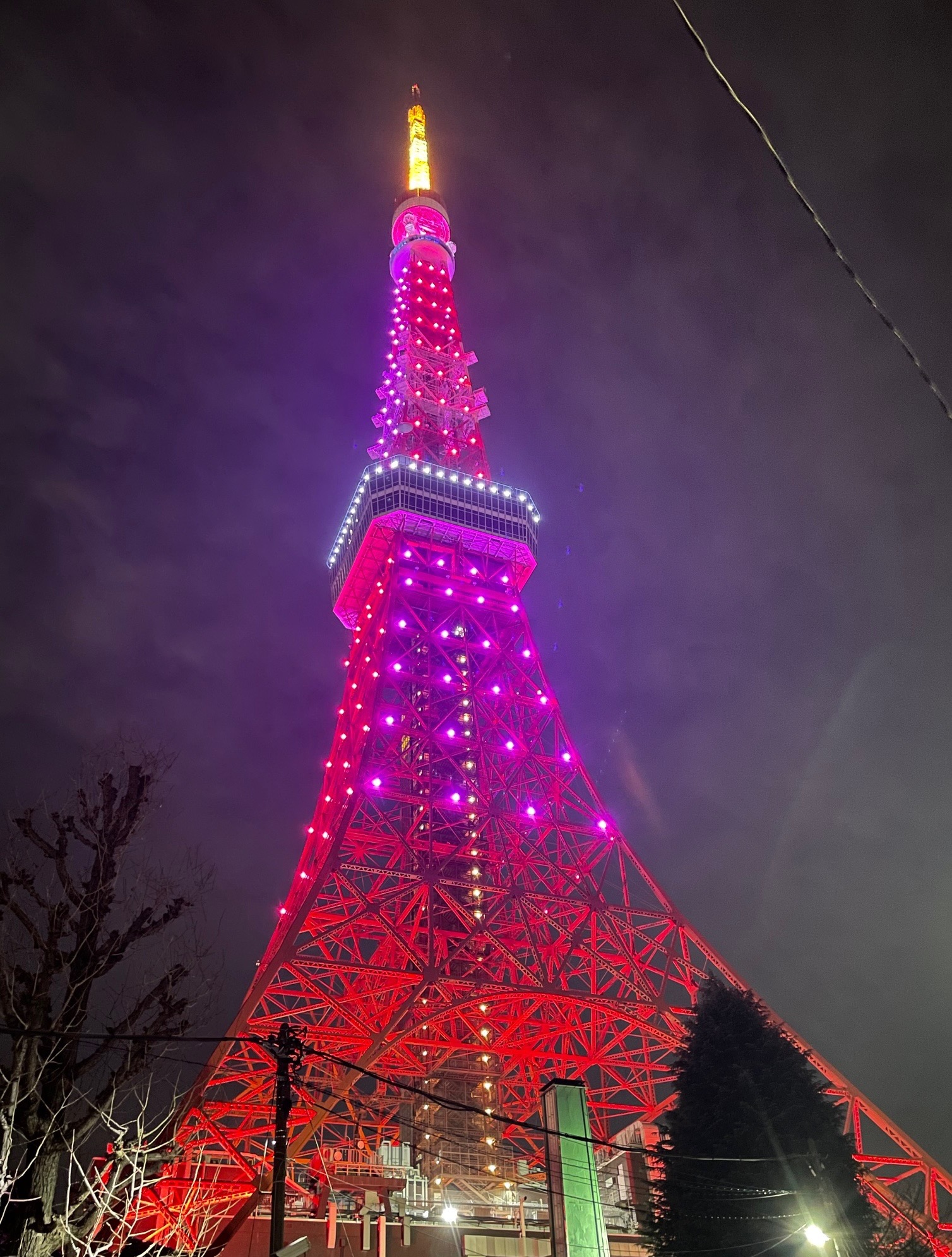 バレンタインの東京タワーの下で、まだ“その人”に出会っていないあなたへ ― 丸の内の結婚相談所 M’sブライダルジャパン・インターナショナル ―