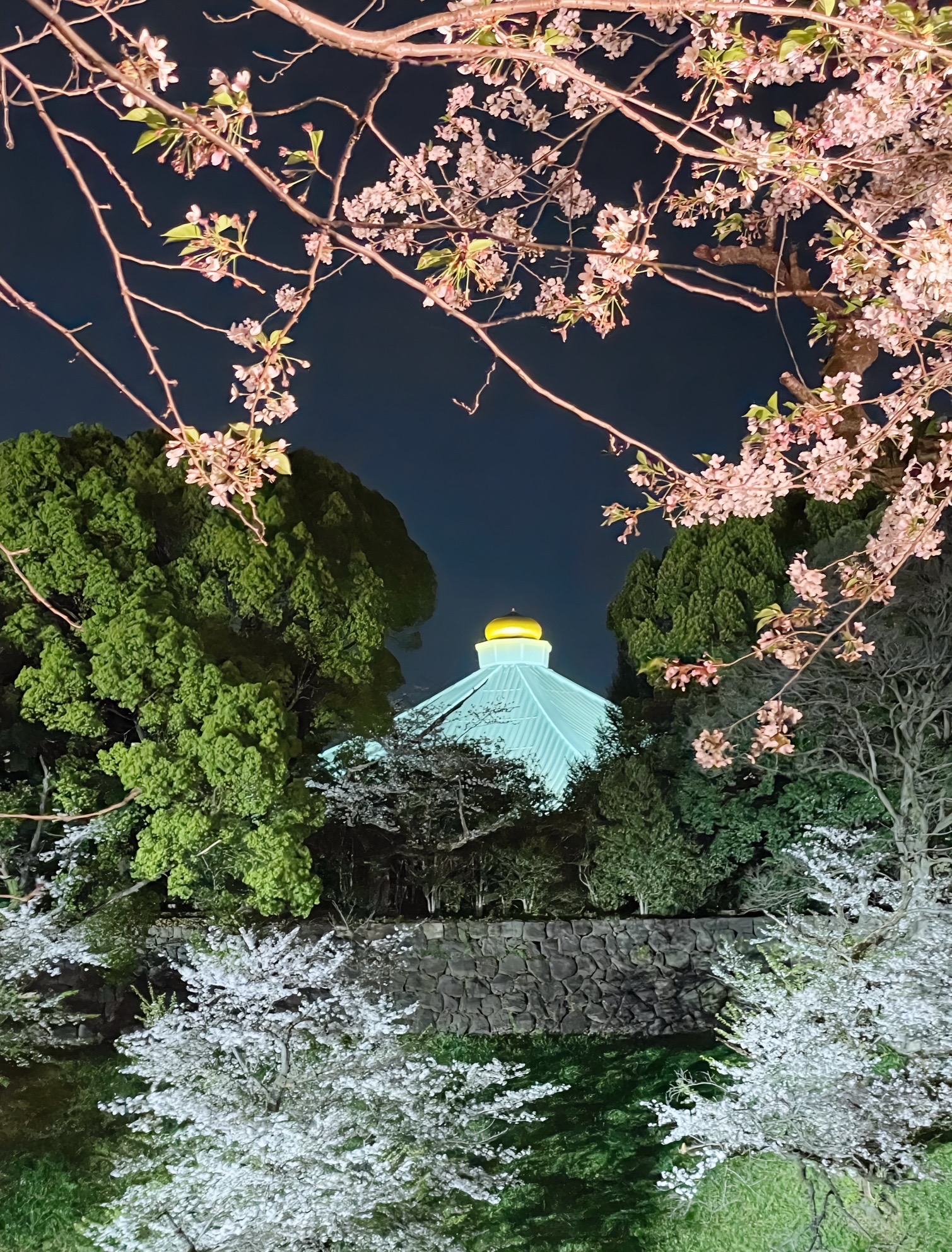 “もしもの時”では遅い。大人のための“遺言書”という愛のカタチ