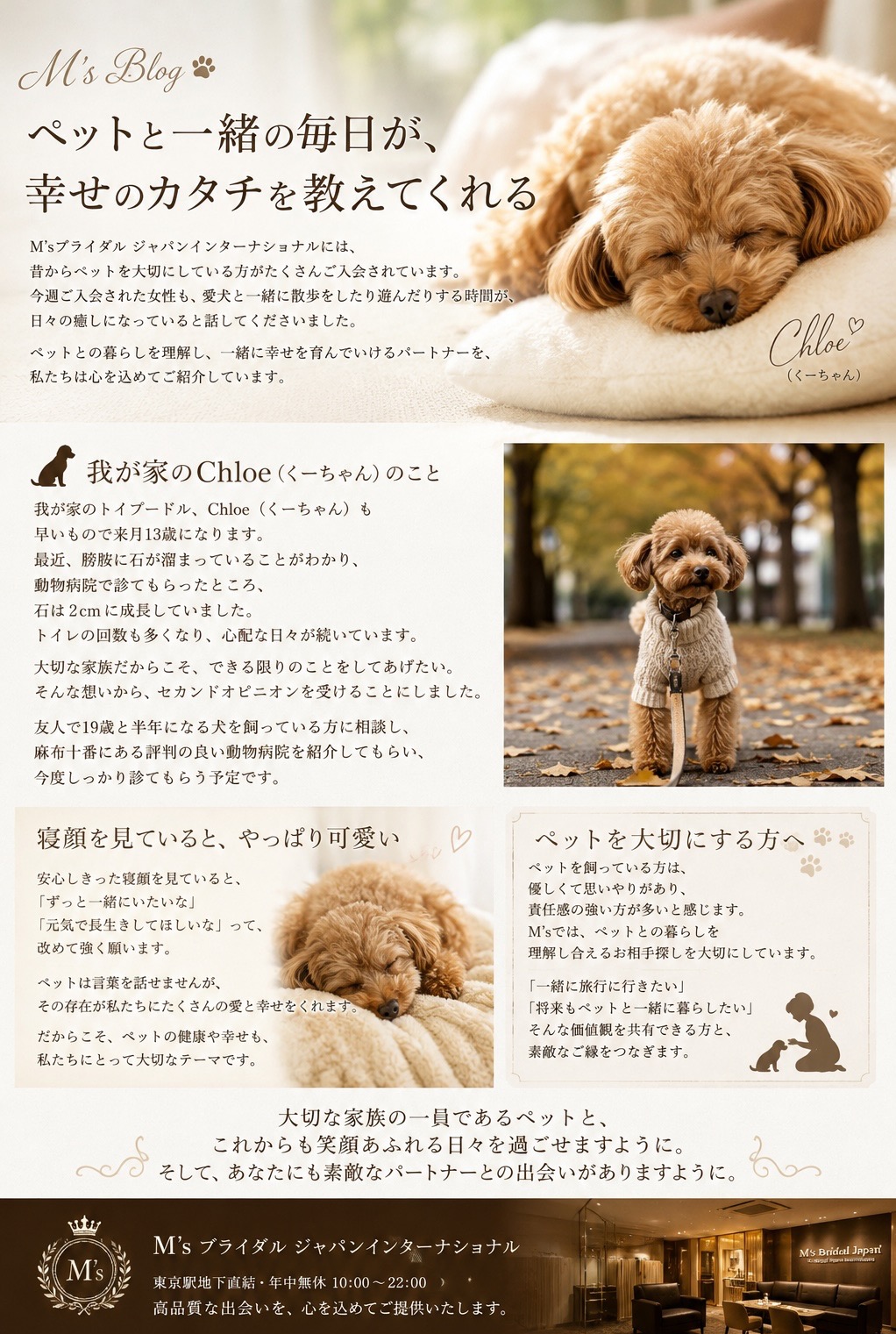 ペットは家族。だからこそ、これからの人生も愛情を分かち合える人と。 愛犬が教えてくれる、本当の幸せとパートナー選び。