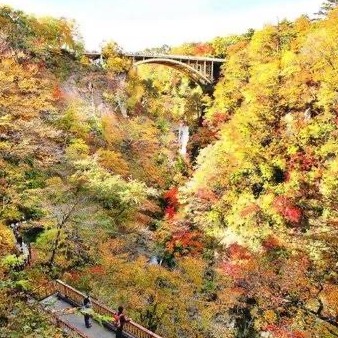 【紅葉狩りデートのアドバイス】